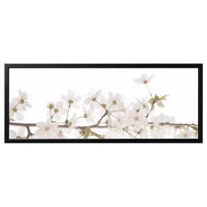 IKEA BJÖRKSTA picture and frame, 55x22 in White Flowers / Black, Ikea Outlet | 6785MWZOB