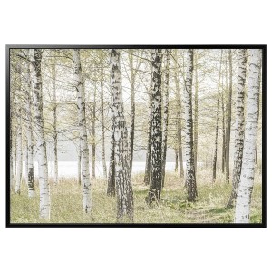 IKEA BJÖRKSTA picture and frame, 78 ¾x55 in Birches / Black, Ikea Outlet | 0896KQSWI