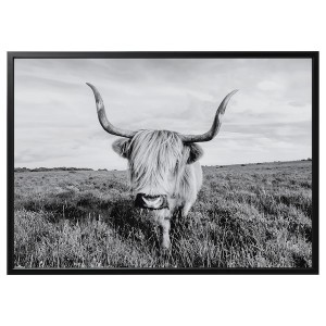IKEA BJÖRKSTA picture and frame, curious cow, 55x39 ¼ in Black, Ikea Outlet | 9741GNLMX