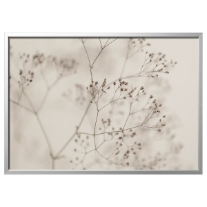 IKEA BJÖRKSTA picture and frame, flowers-close up, 55x39 ¼ in Aluminum Color, Ikea Outlet | 7560DBANR