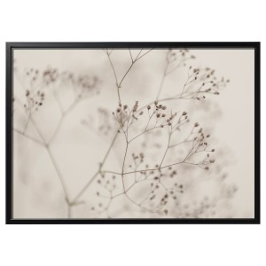 IKEA BJÖRKSTA picture and frame, flowers-close up, 55x39 ¼ in Black, Ikea Outlet | 5614AOIXT