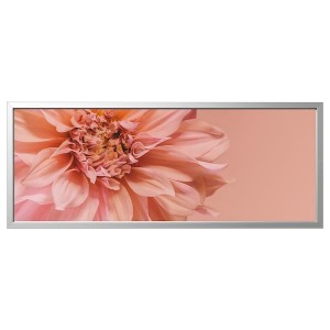 IKEA BJÖRKSTA picture and frame, flowers-in, 55x22 in Pink / Aluminum Color, Ikea Outlet | 4820WJPLZ