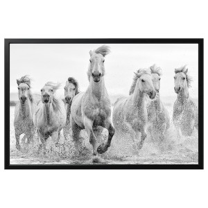 IKEA BJÖRKSTA picture and frame, horses at the water´s edge, 46 ½x30 ¾ in Black, Ikea Outlet | 6285KROIE
