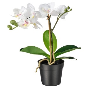 IKEA FEJKA artificial potted plant, 3 ½ in Orchid White, Ikea Outlet | 9364XYSZH