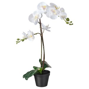 IKEA FEJKA artificial potted plant, 4 ¾ in Orchid White, Ikea Outlet | 0273LYXSW