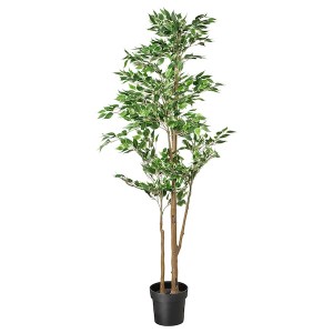IKEA FEJKA artificial potted plant, indoor/outdoor Weeping fig, 8 ¼ in, Ikea Outlet | 2079HCJWP