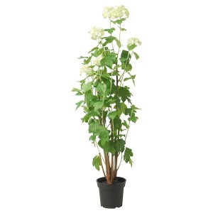 IKEA FEJKA artificial potted plant, indoor/outdoor, 6 in Snowball, Ikea Outlet | 2718NVZRY