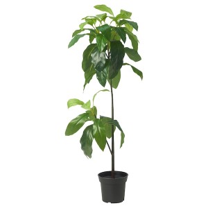 IKEA FEJKA artificial potted plant, indoor/outdoor, 6 in Avocado, Ikea Outlet | 4058HMEUJ