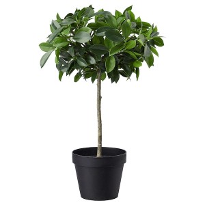 IKEA FEJKA artificial potted plant, indoor/outdoor, 4 ¾ in Weeping Fig Stem, Ikea Outlet | 9312OTHFW