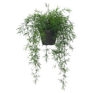 IKEA FEJKA artificial potted plant, indoor/outdoor, 4 ¾ in Asparagus / Hanging, Ikea Outlet | 9135KZSJO
