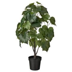 IKEA FEJKA artificial potted plant, indoor/outdoor, 6 in Crimson Glory Vine, Ikea Outlet | 0167YJWST