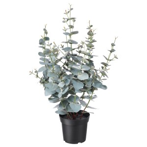 IKEA FEJKA artificial potted plant, indoor/outdoor, 6 in Eucalyptus, Ikea Outlet | 1589ZJMBC