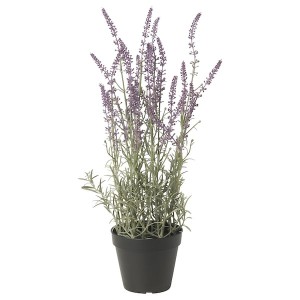 IKEA FEJKA artificial potted plant, indoor/outdoor, 4 ¾ in Lavender Lilac, Ikea Outlet | 7689THEVW