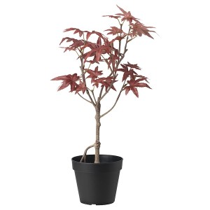 IKEA FEJKA artificial potted plant, indoor/outdoor, 4 ¾ in Maple, Ikea Outlet | 1857CFURL