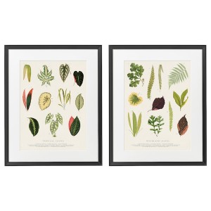 IKEA KNOPPÄNG frame with poster, 16 ¼x20 in, 2 pack Collage Of Leaves, Ikea Outlet | 1247UMXTL