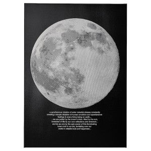 IKEA PJÄTTERYD picture, 19 ¾x27 ½ in Moonlight, Ikea Outlet | 0218QHOTW