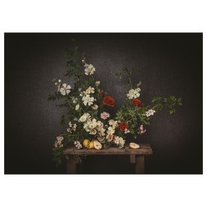 IKEA PJÄTTERYD picture, 27 ½x19 ¾ in Flowers / Against A Black Wall, Ikea Outlet | 5072JWMNX