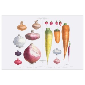 IKEA PJÄTTERYD picture, Onions, radishes and carrots, 46 ½x30 ¾ in, Ikea Outlet | 1346JKURC