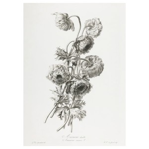 IKEA PJÄTTERYD picture, a bouquet, 19 ¾x27 ½ in A Bouquet, Ikea Outlet | 6318JAEYL